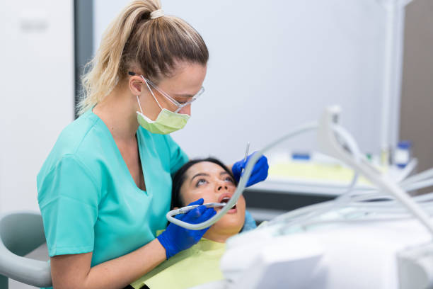 Best Broken or Chipped Tooth Repair in Bayonet Point, FL